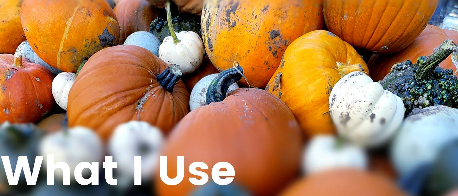 A photograph of a large pile of pumpkins of many different sizes and colours, with orange, yellow, white and purple pumpkins. The words What I Use appear in the bottom left of the image.